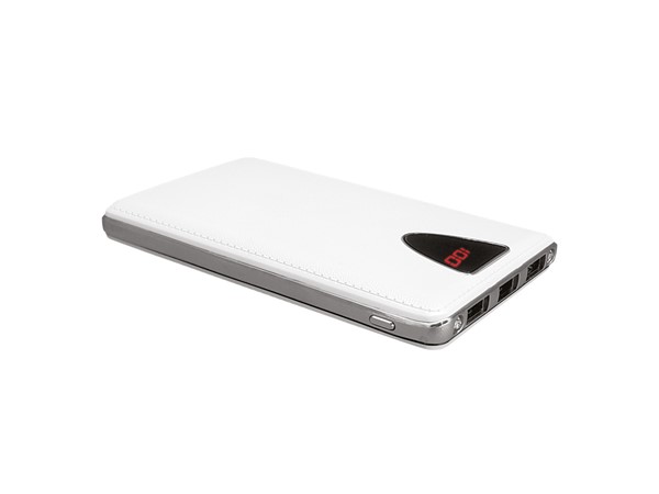 BUSINESS POWERBANK